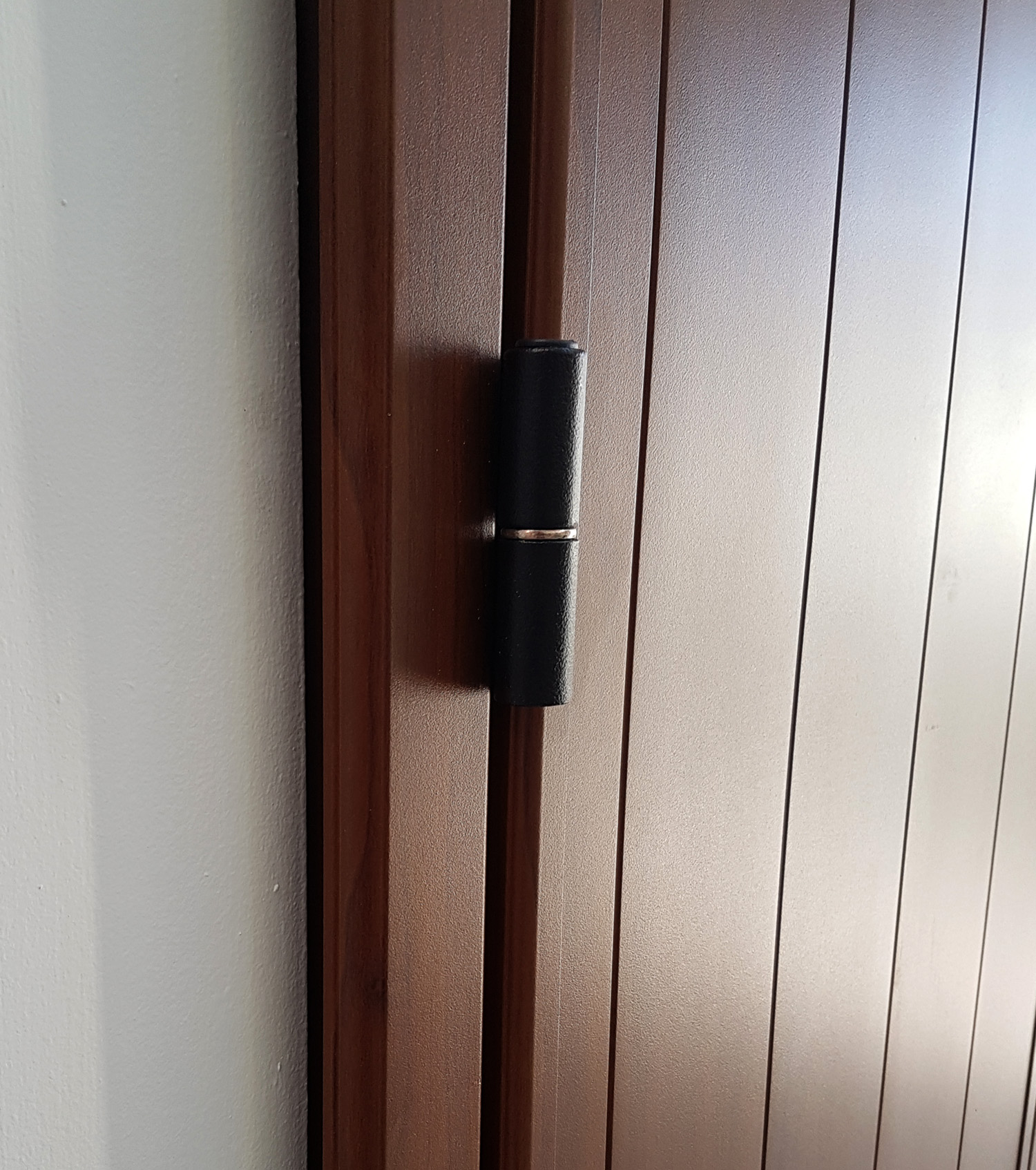 TARO CON TELAIO_dettaglio